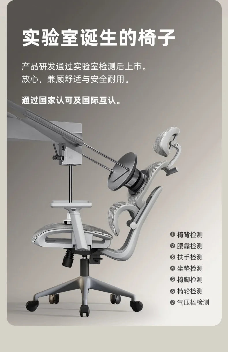 Computer Chairs Ergonomic Back Support Office Chair Computer Chair Wheels Adjustable Cadeira Gamer Gaming Relaxing Chairs