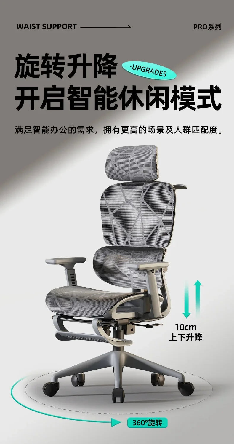 Computer Chairs Ergonomic Back Support Office Chair Computer Chair Wheels Adjustable Cadeira Gamer Gaming Relaxing Chairs