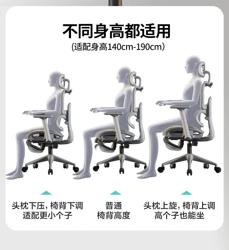 Computer Chairs Ergonomic Back Support Office Chair Computer Chair Wheels Adjustable Cadeira Gamer Gaming Relaxing Chairs